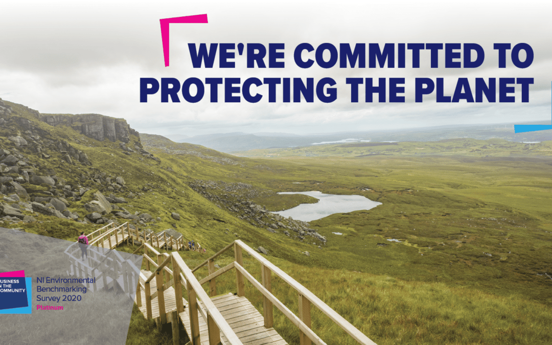Henry Group stepping up to protect the Planet at BITC Platinum Level
